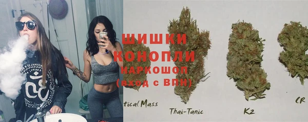 шишки Магадан