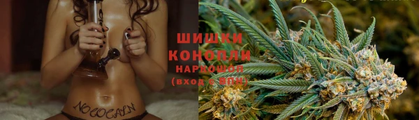 шишки Магадан