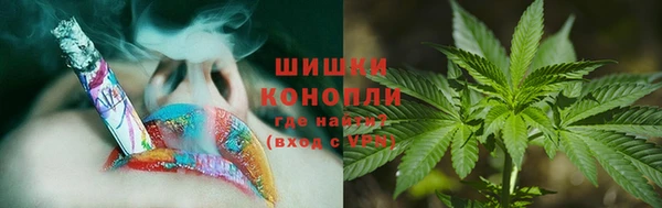 шишки Магадан