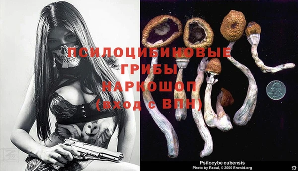 шишки Магадан