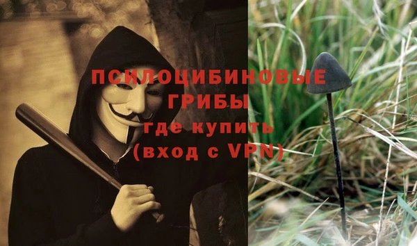 шишки Магадан