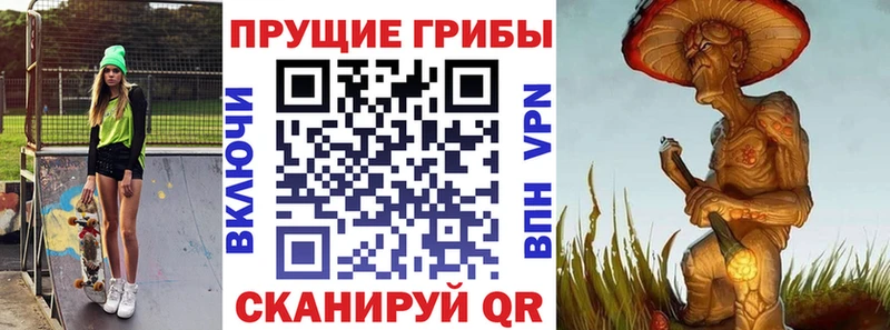Купить где  Брюховецкая  Псилоцибиновые грибы Psilocybine cubensis 